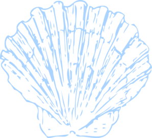 Seashell clipart black and white free clipart image 