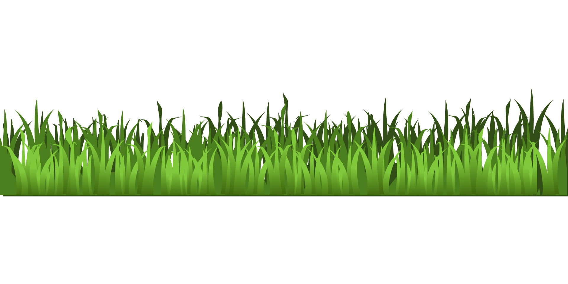 Meadow Green Grass Clipart 