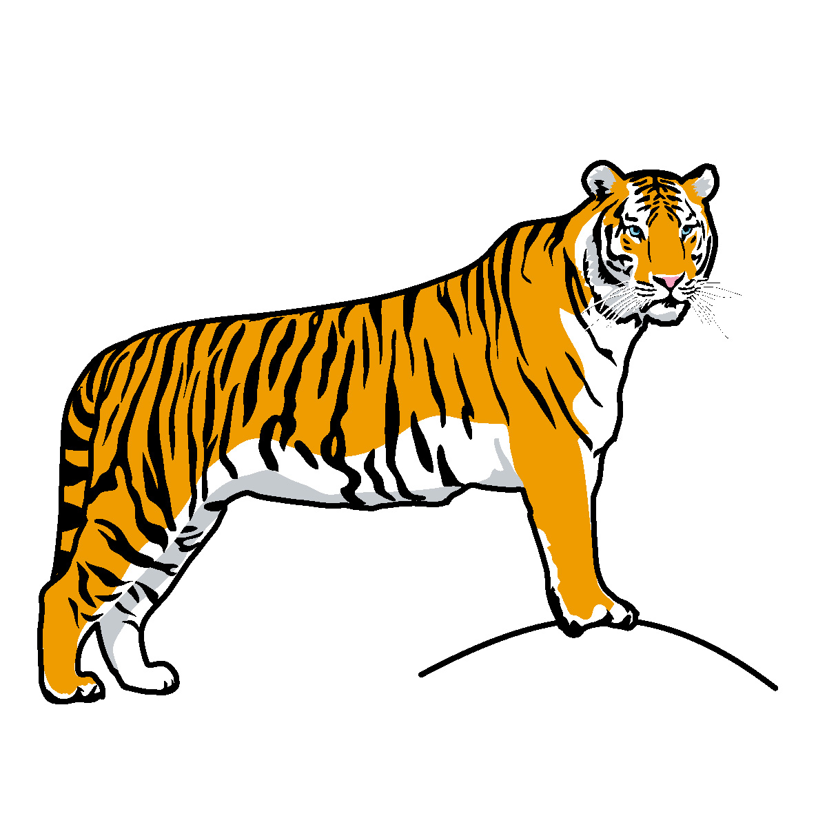 Tiger Face Clip Art Black And White 