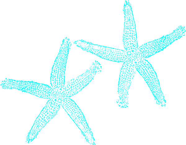 Turquoise Starfish Clip Art