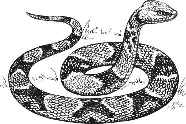 Copperhead Snake Clip Art 