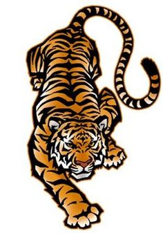 Tiger clip art 
