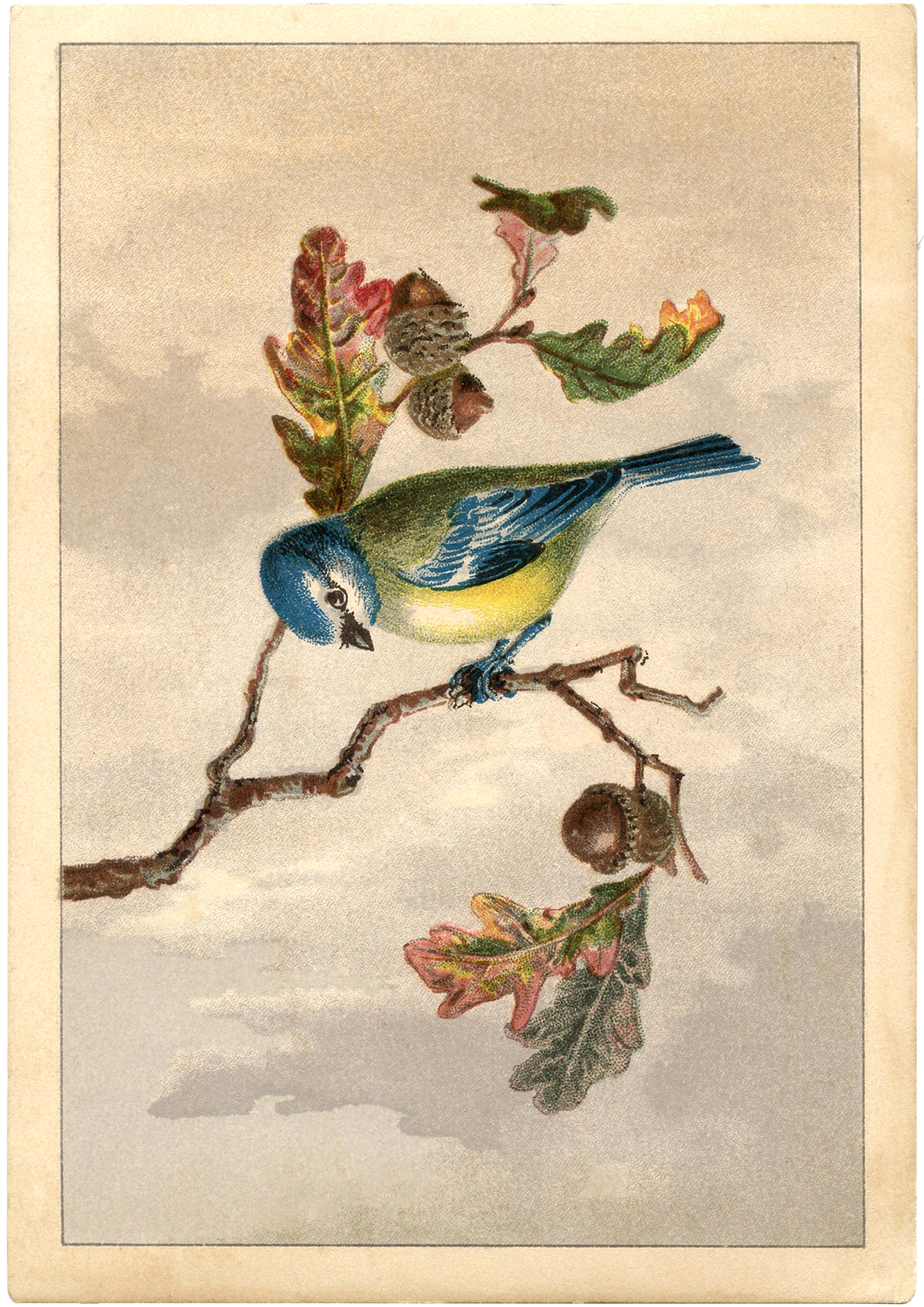 Free Vintage Bird Clip Art 