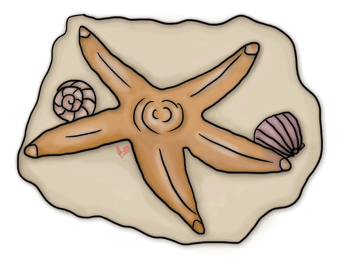 Starfish Clipart, Echo&Original Free Sealife Clipart of Starfish 