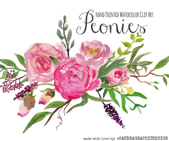 Floral clip art: PEONY clip art hand painted 