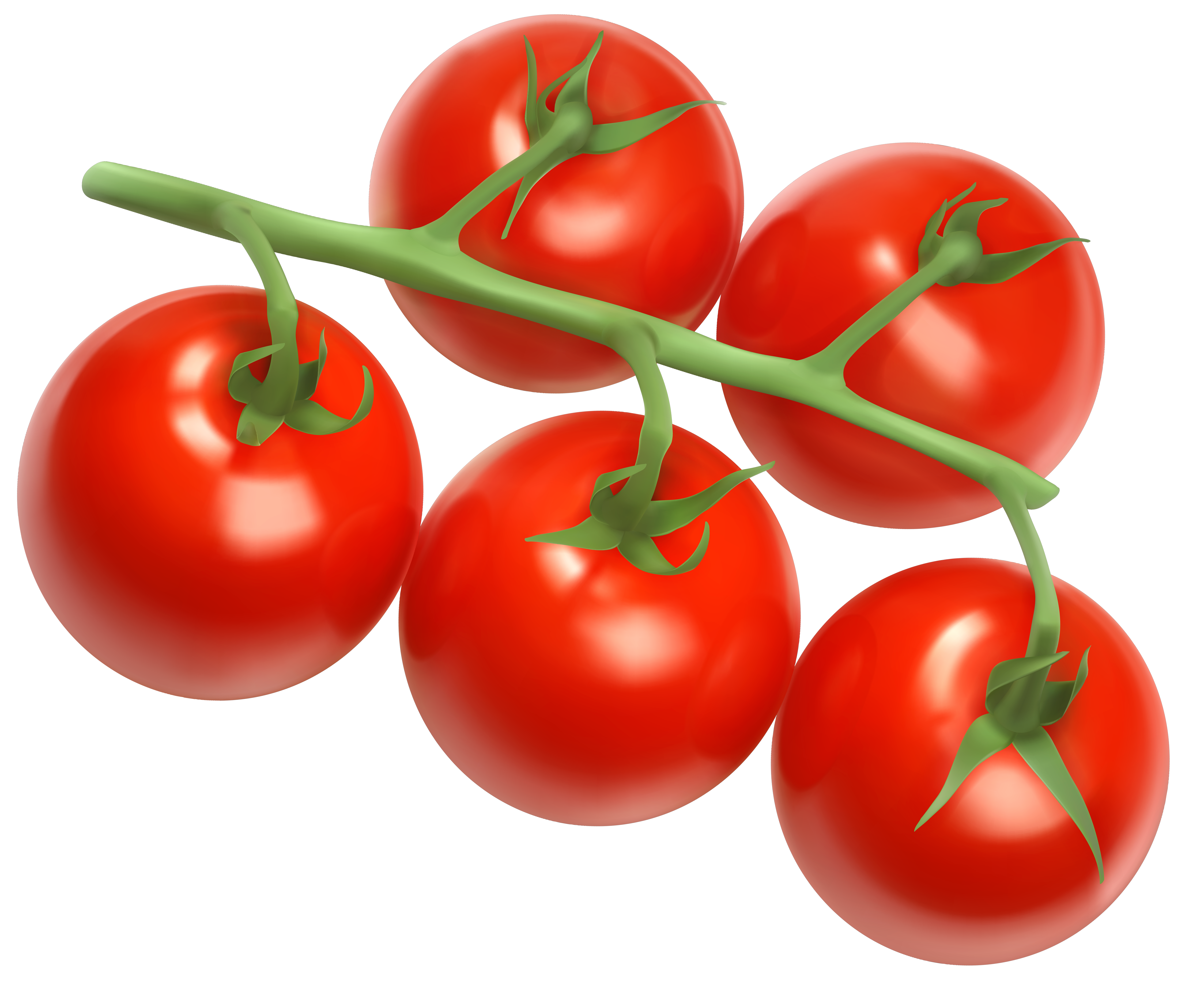 Tomatoes PNG Vector Clipart Image 