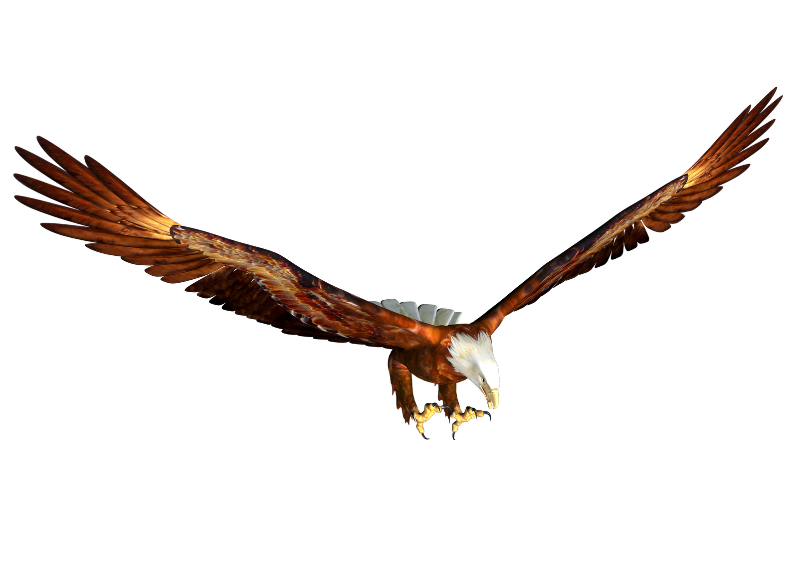 Flying Eagle Clip Art 