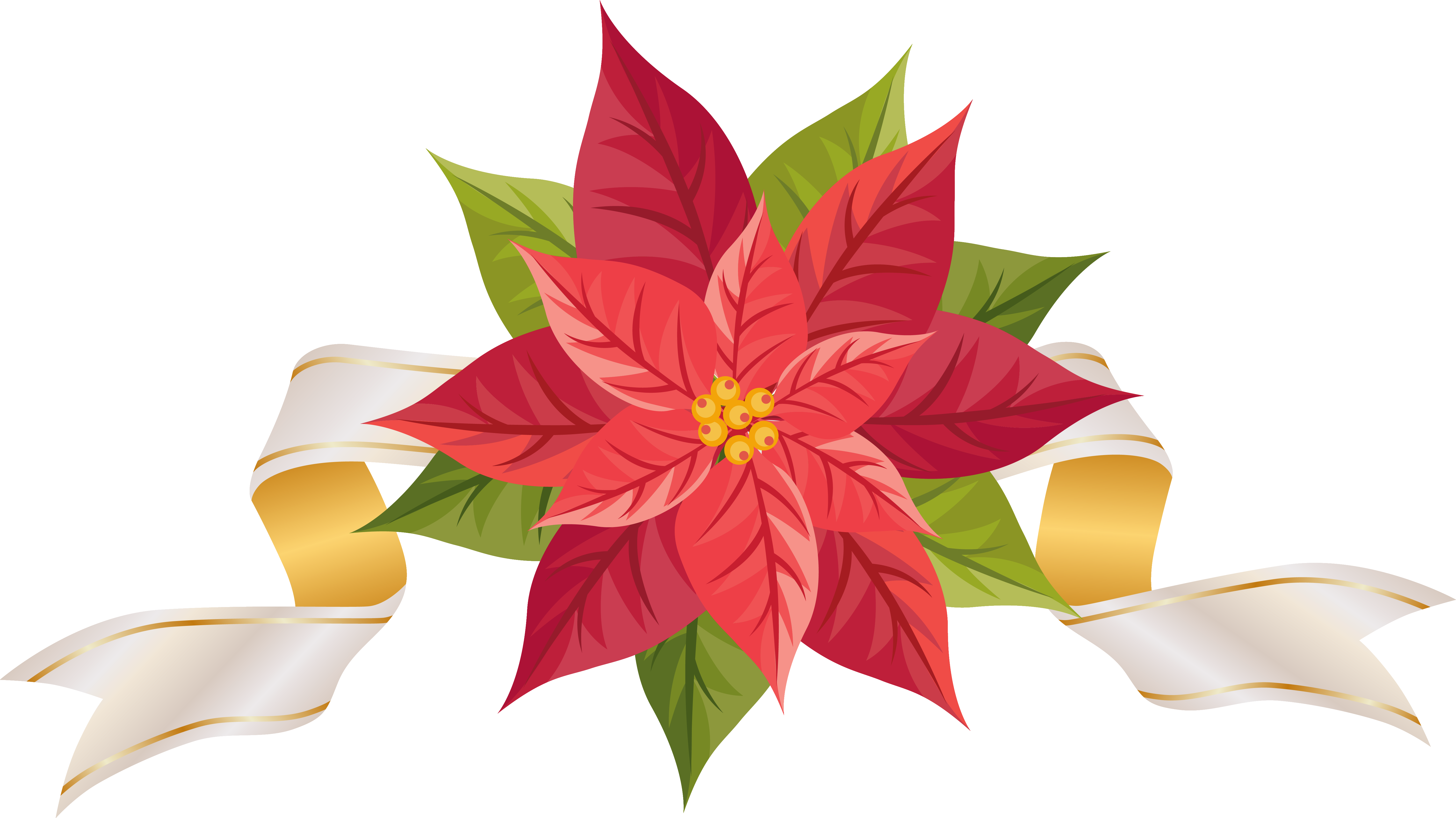 Poinsettia with Ribbon PNG Clipart Image 