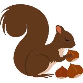 Squirrel Clipart 