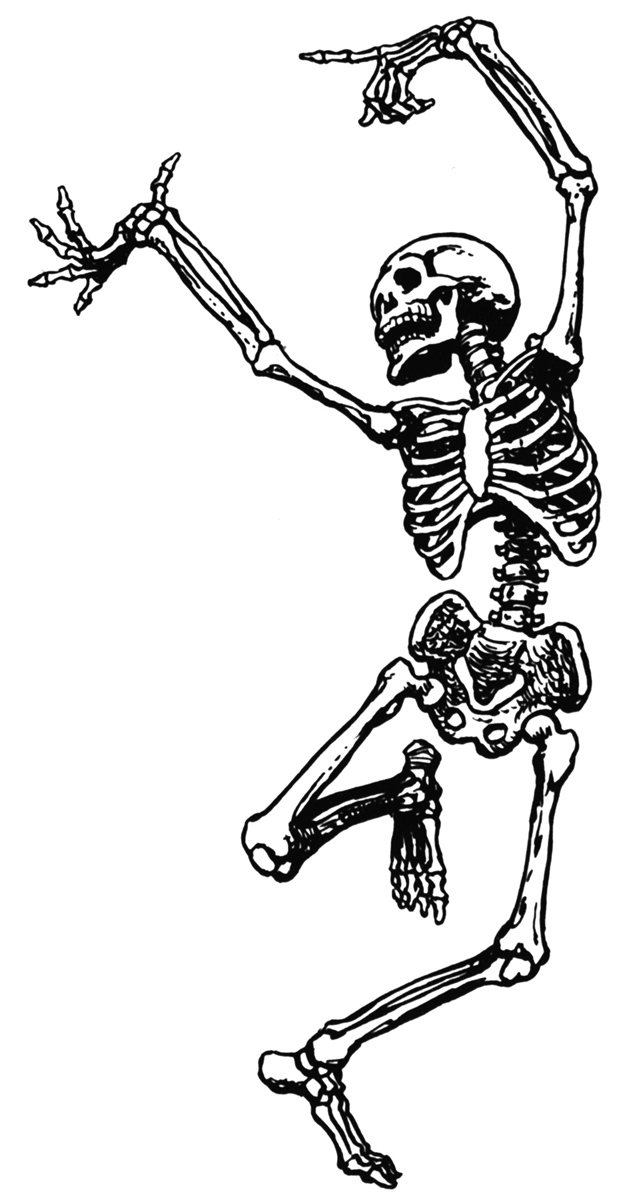 Cartoon Skeleton 