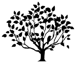 Public Domain Olive Tree 