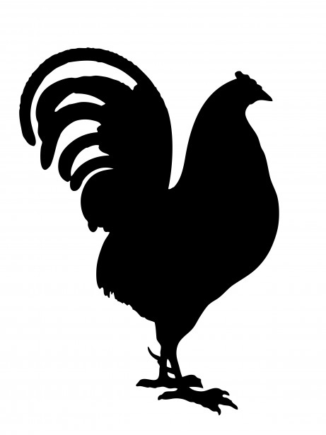 Chicken Silhouette Clipart 