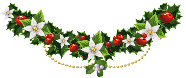 Featured image of post Christmas Plants Vector Png / All vectors893 psd7 png/svg2147 logos488 icons433 editable7.