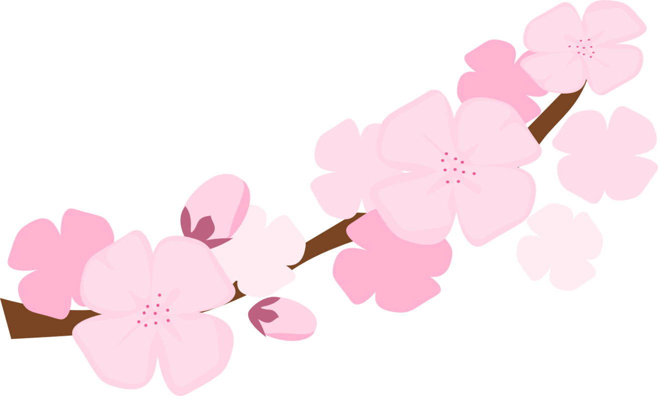 Cherry Blossom Clip Art Clipart 