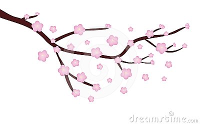 Cherry blossom free clipart 