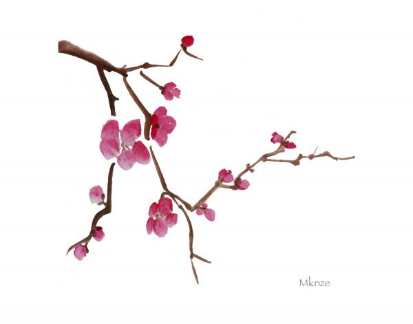Cherry Blossom Clipart 