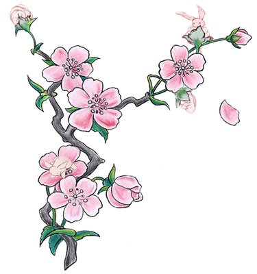Oriental cherry blossom clipart 