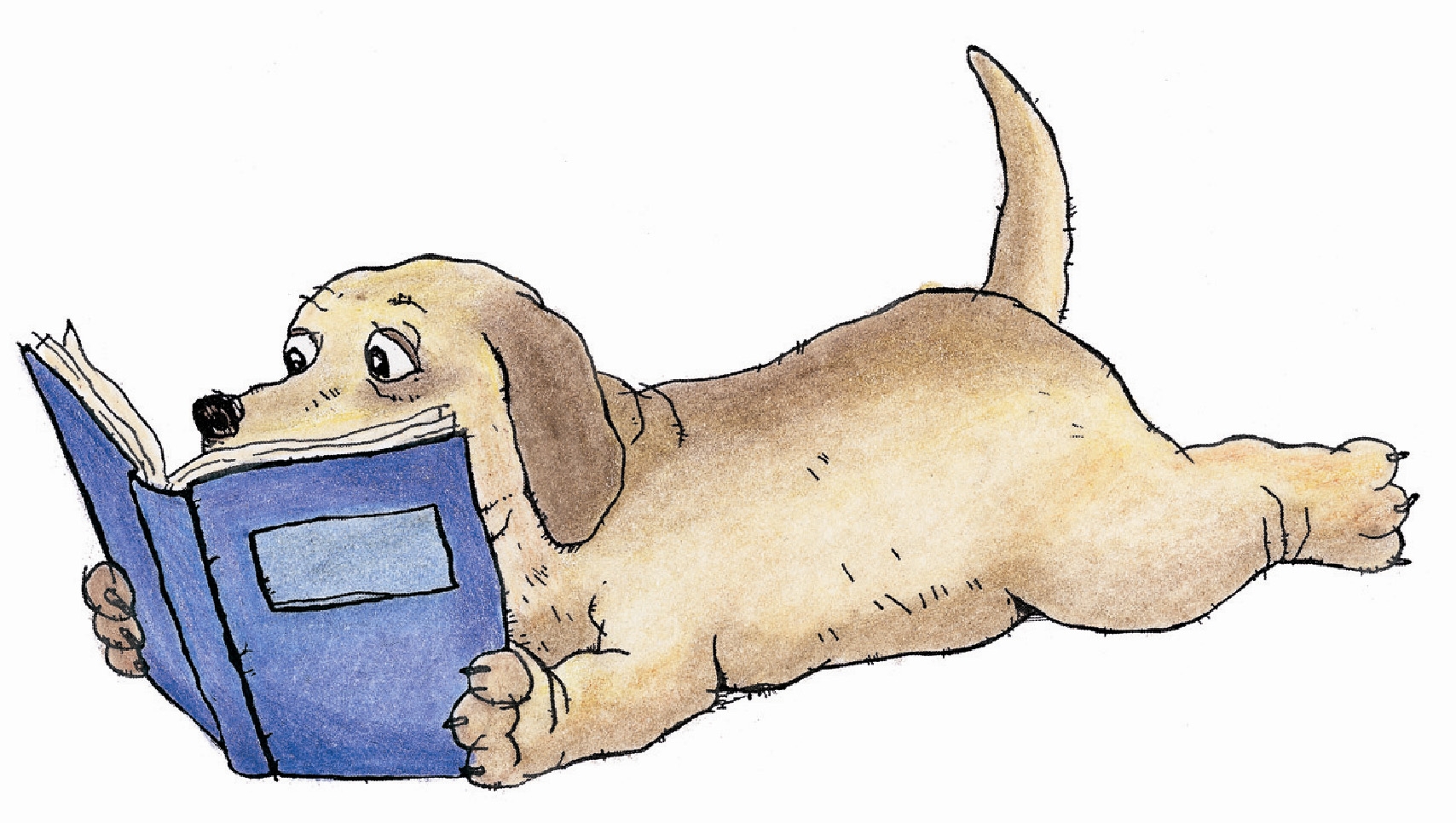 Animals Reading Books Clipart 