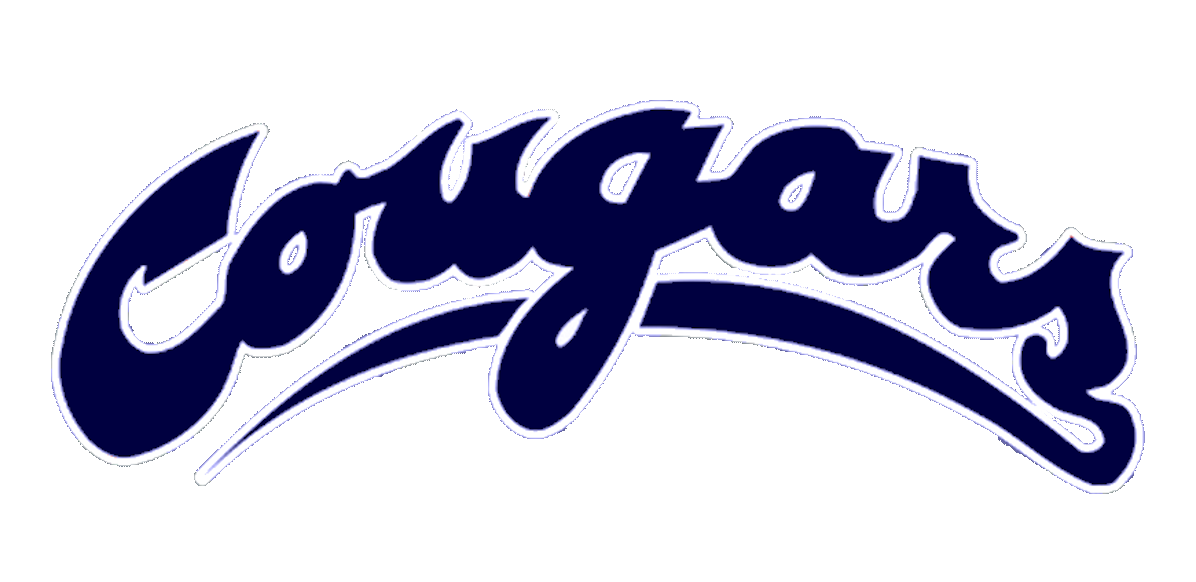 Cougar Head Logo Vector 25905 