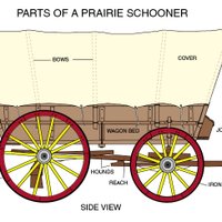 Covered Wagon Clipart Pictures, Image  Photos 