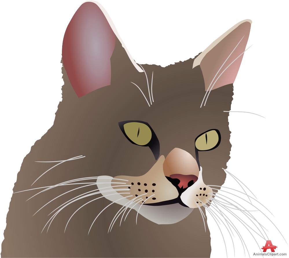 Free Cat Head Cliparts, Download Free Cat Head Cliparts png images