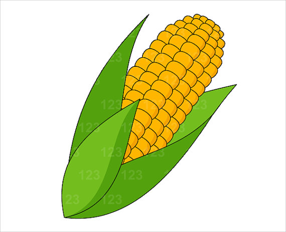 Clip Art Corn Squash Clipart 
