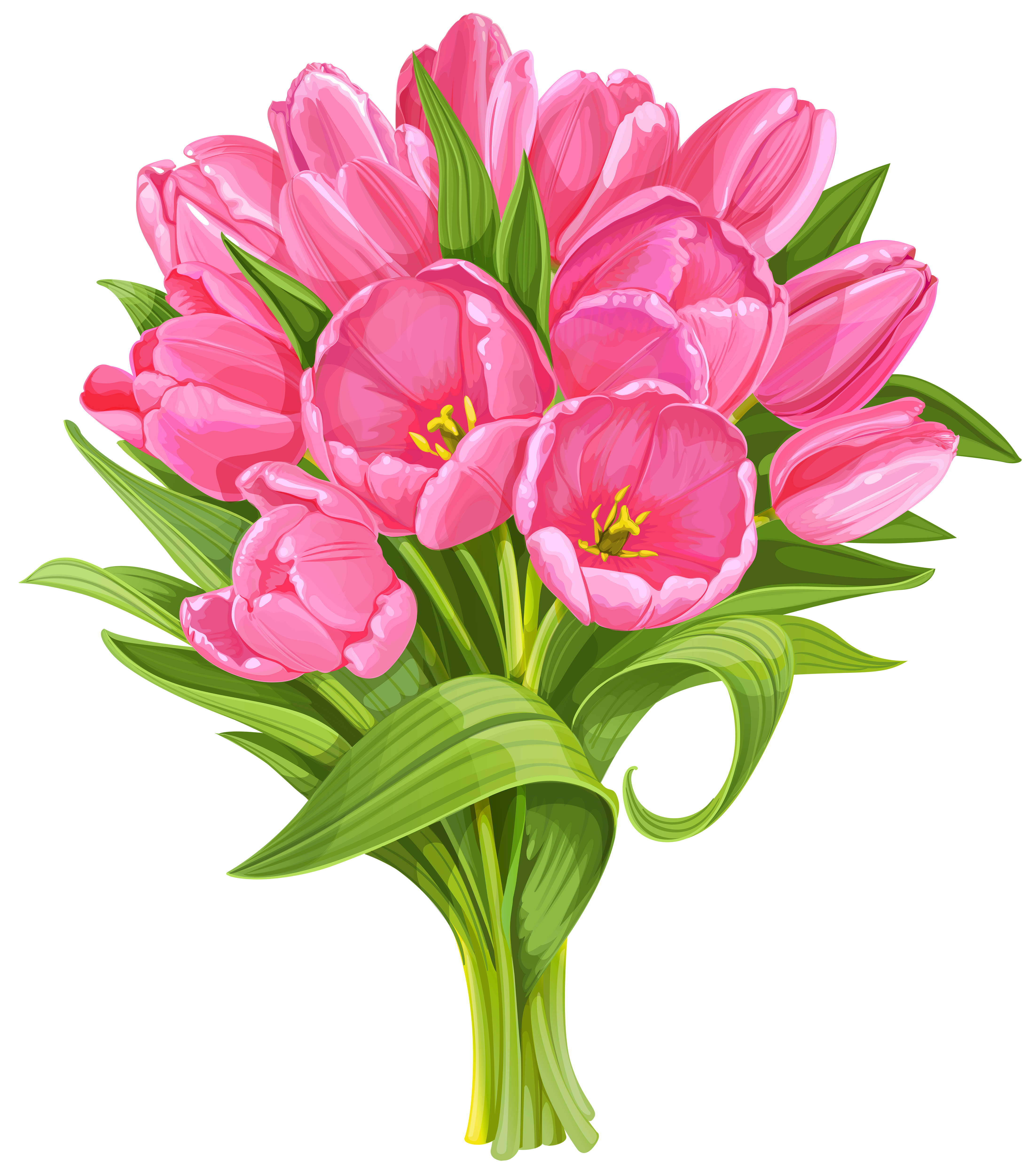 Tulips Bouquet Transparent PNG Clip Art 