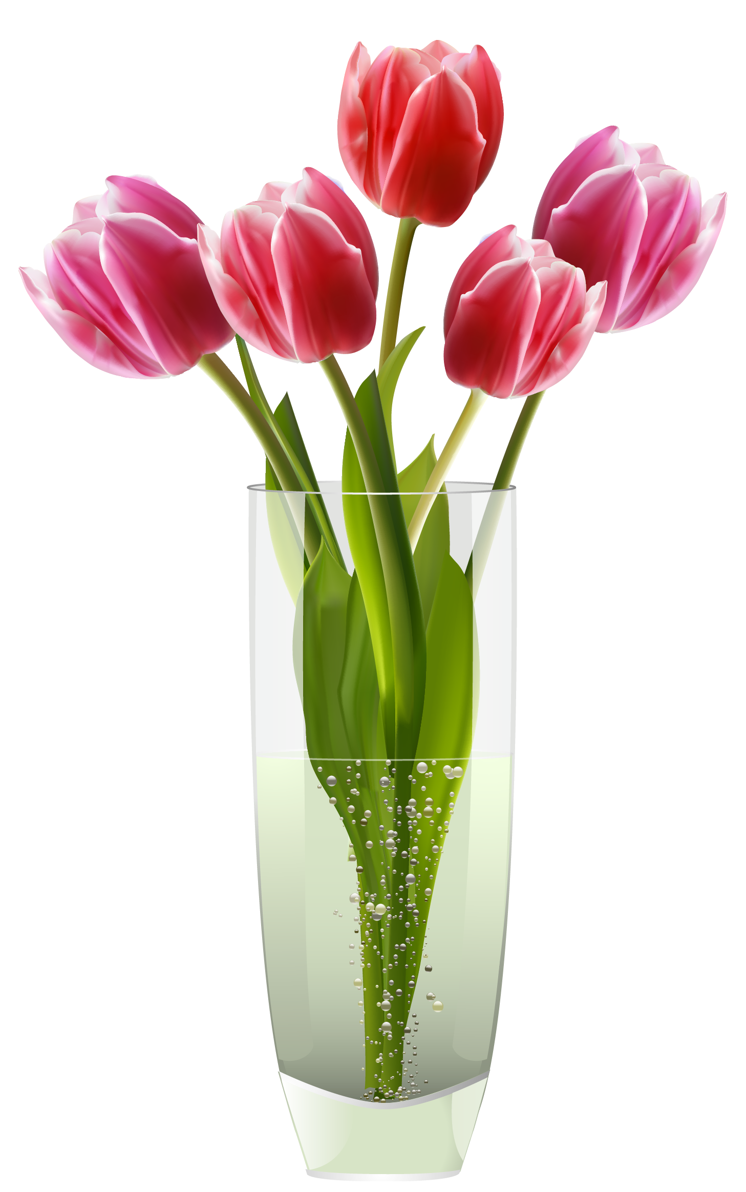 Red Tulips Clipart 