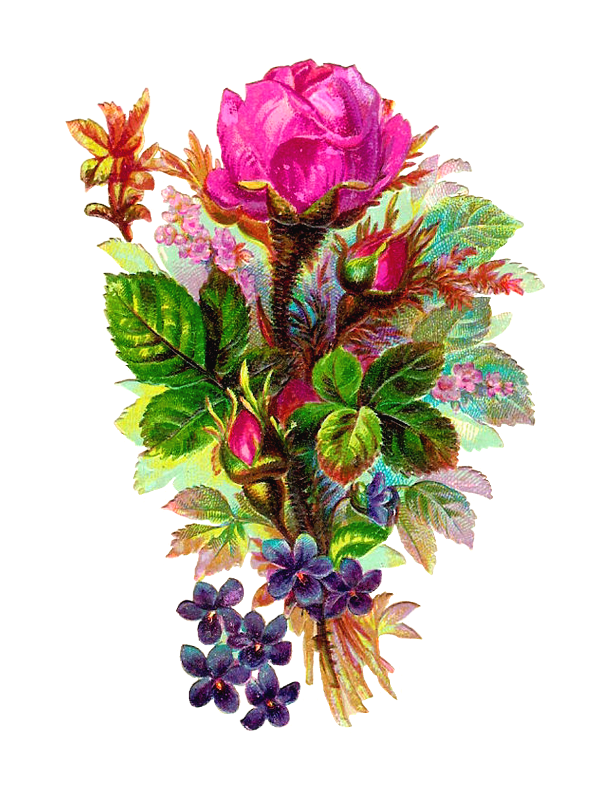 Free Tulip Bouquet Cliparts, Download Free Clip Art, Free Clip Art on