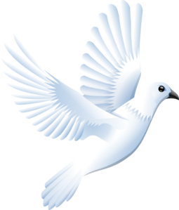 Doves At Wedding Vector Png 