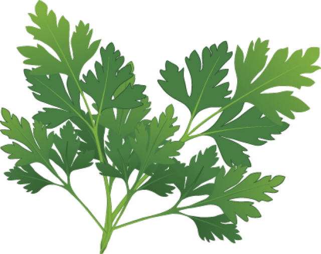 parsley cartoon clipart