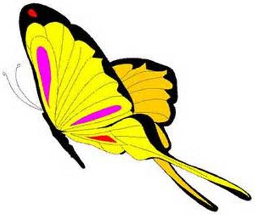 Yellow Butterfly Clipart 