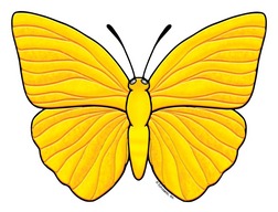 Yellow Butterfly Clip Art 