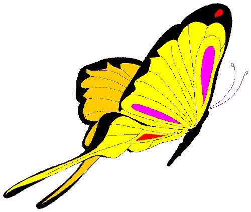 Yellow Butterfly Clipart 