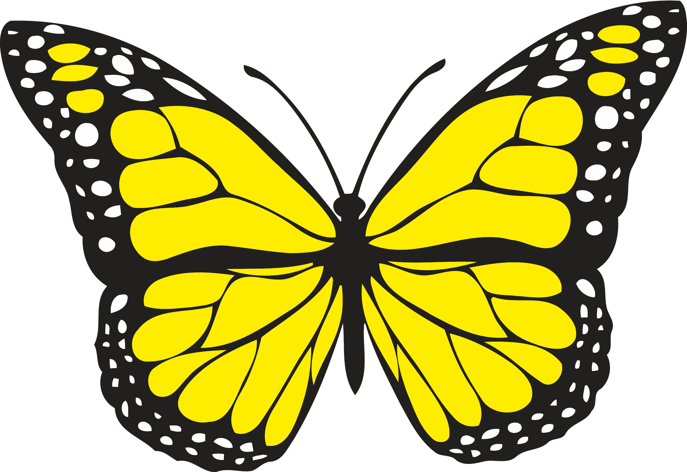 yellow butterfly clipart � Clipart Free Download 