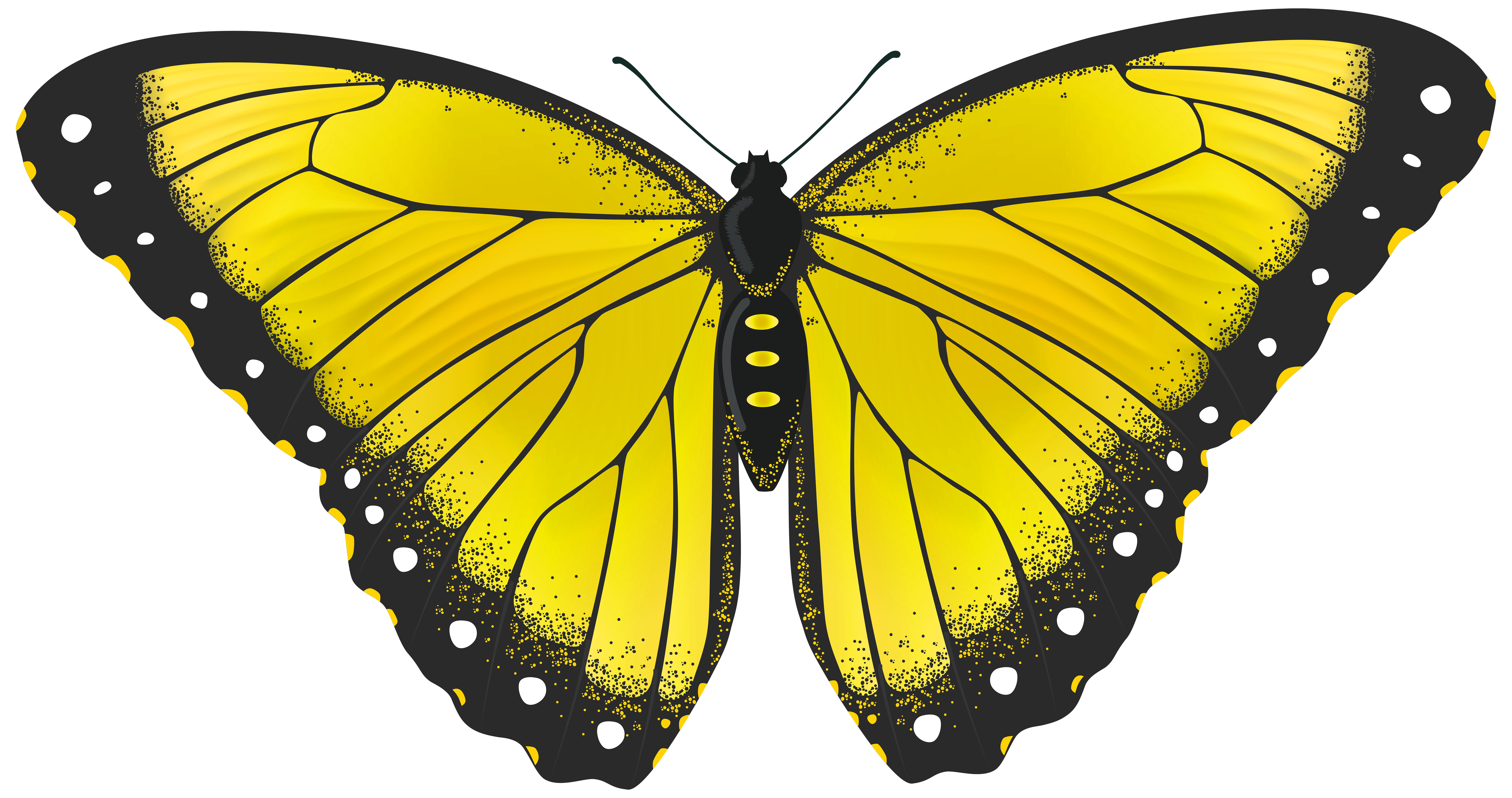Free Yellow Butterfly Cliparts, Download Free Yellow Butterfly Cliparts