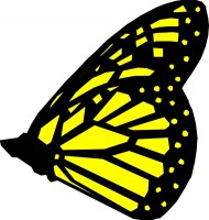 Yellow and black butterfly clipart 
