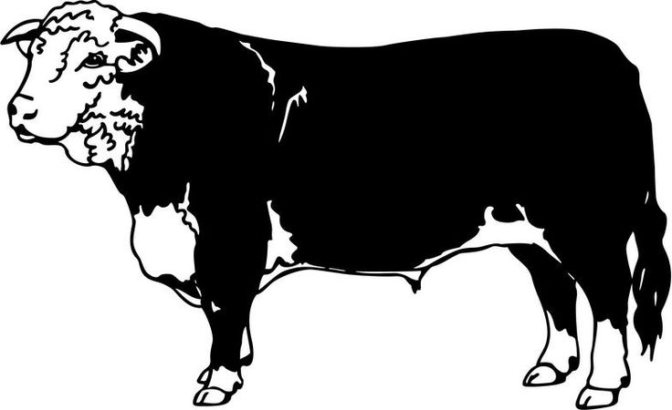Hereford cattle clipart 