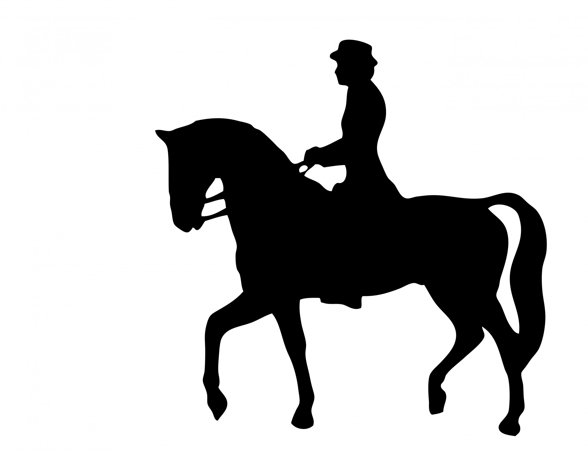 horse riding Silhouette 