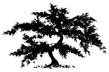 Maple Tree Silhouette Clipart 