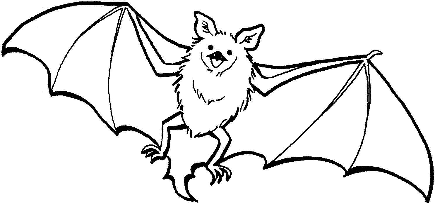 Bat black and white vampire bat clipart 