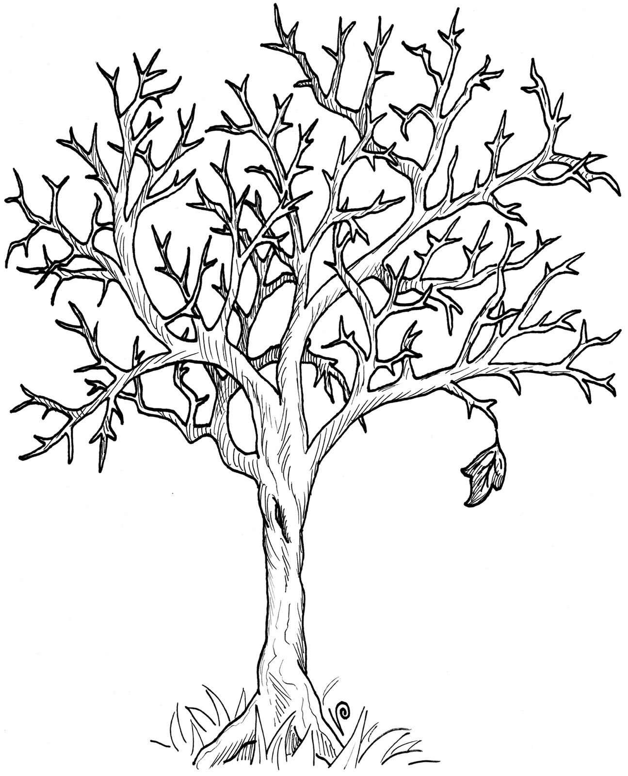 fall tree clip art black and white - Clip Art Library