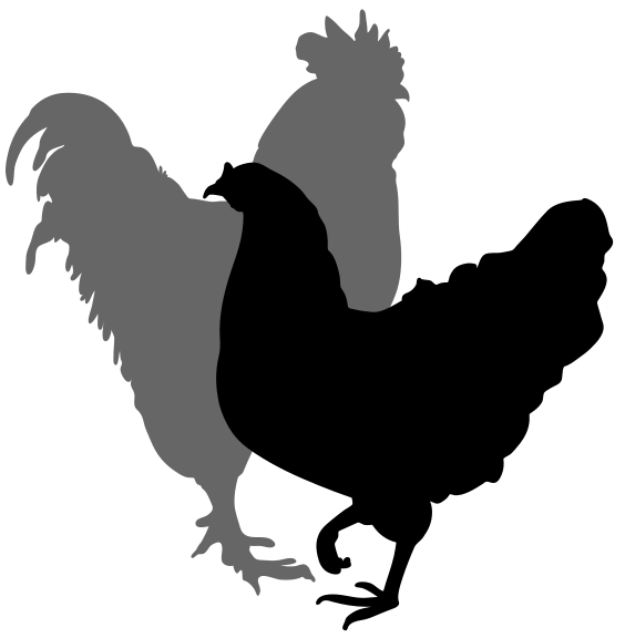 Chicken Silhouette Clipart 