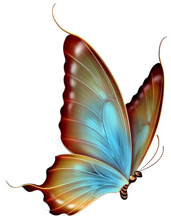 Brown and Blue Transparent Butterfly Clipart 