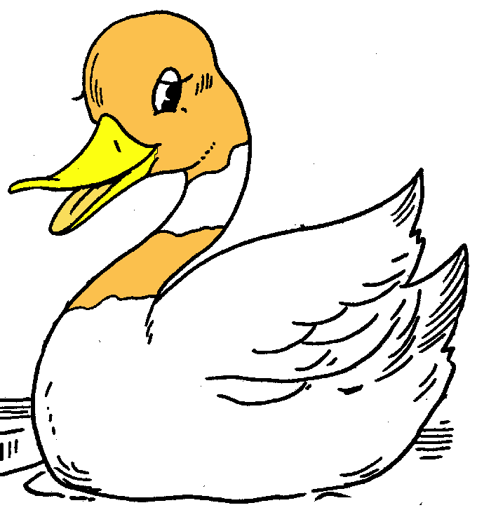 Duck Clipart 