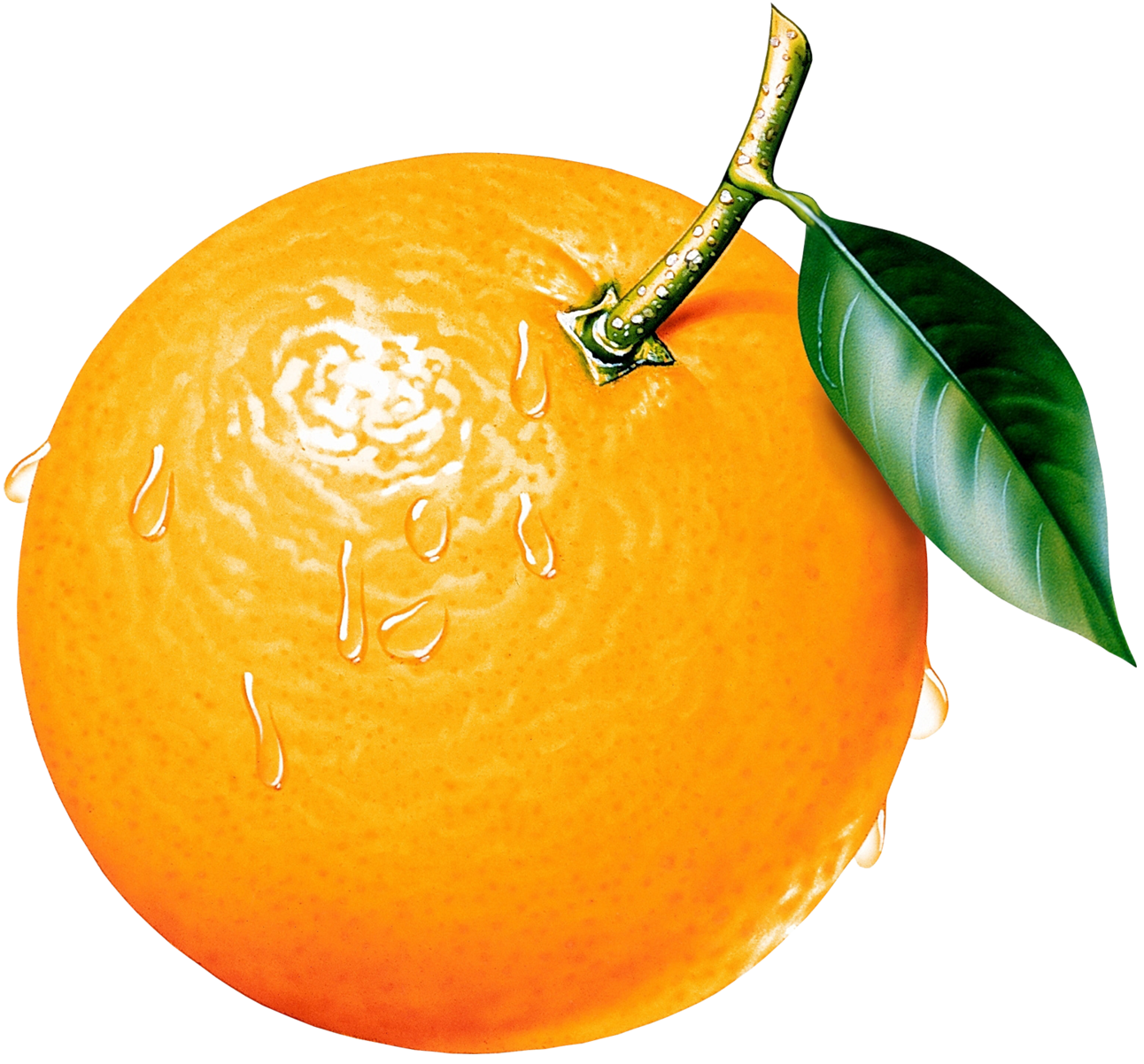 Orange fruit clipart 