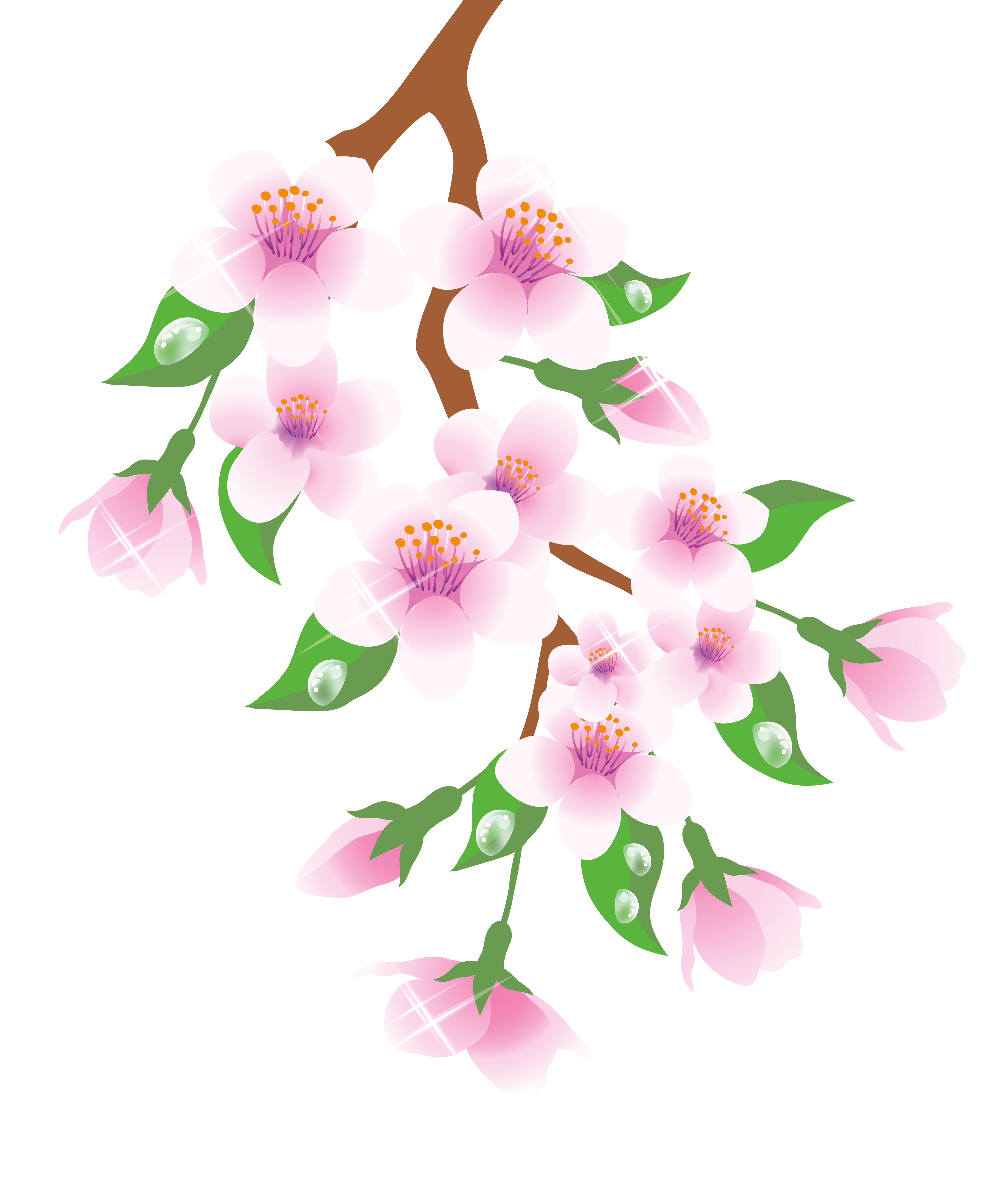 Spring Branch Pink PNG Clipart 