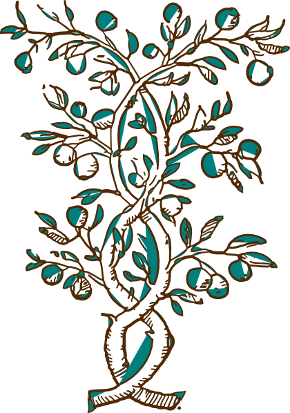 Ahulani Blue And Brown Flowering Branch Clip Art at Clker 