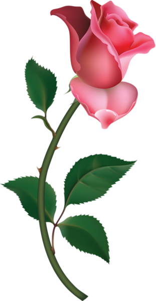 Flower Rose Bud On Branch Pink Large 