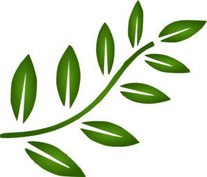 Green Branch Clip Art – Clipart Free Download 